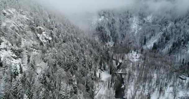 Picos Montanha Nevado Torno Lago Ritsa Abcásia Geórgia — Vídeo de Stock