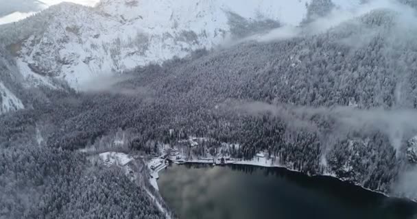 See Ritsa Neuen Jahr Urlaub Januar Den Bergen Von Abchasien — Stockvideo