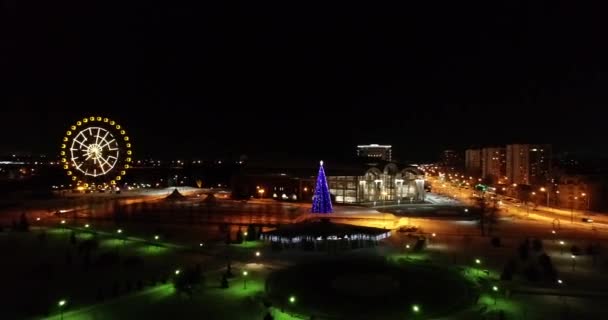 Ferris Wheel Main Holiday Tree New Year Holidays Yaroslavl — Stock Video