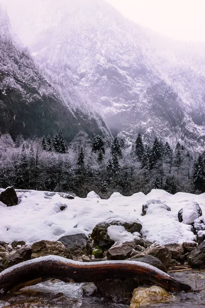 Bir dağ dere ağaçlar ve dağlar kış Abhazya Gürcistan arka planı aracılığıyla bir ağacın gövde