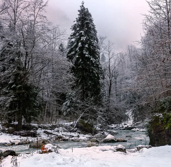 Dağ nehir kış orman, Abhazya, Gürcistan