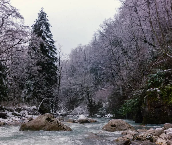 Dağ nehir kış, Abhazya, Gürcistan