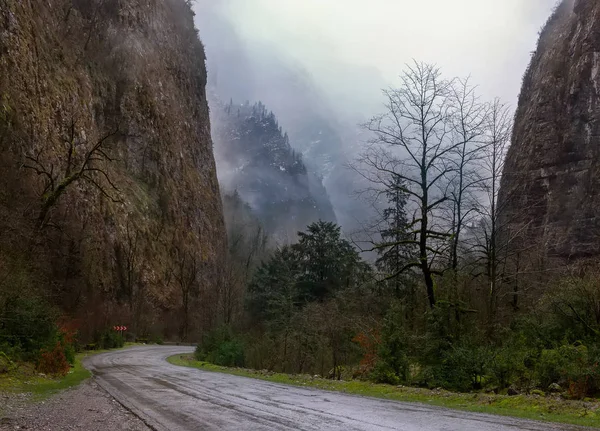 Dağ gorge Gürcistan