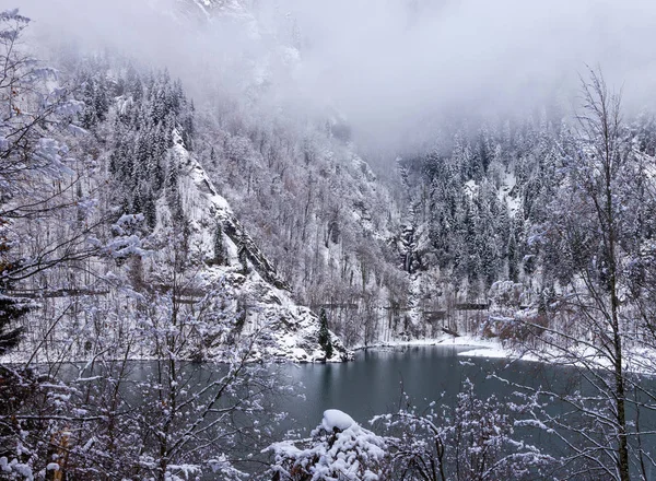 Ritsa Jezero Zimě Pokryté Mlha — Stock fotografie
