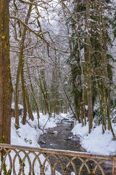 Kış manzara: karlı bir orman, ön planda - Ferforje çit akan dere