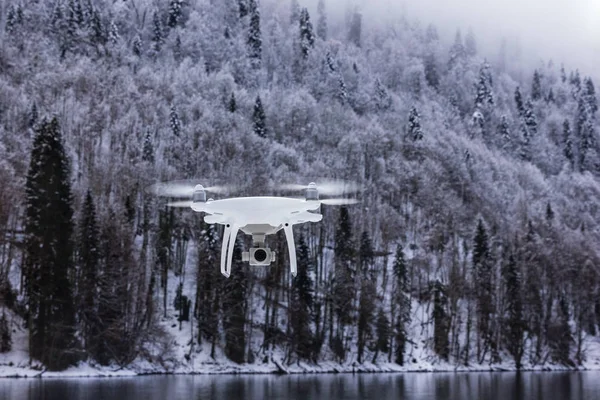 bir dağ Gölü ve ormanlık bir yamaç arka plan üzerinde robot