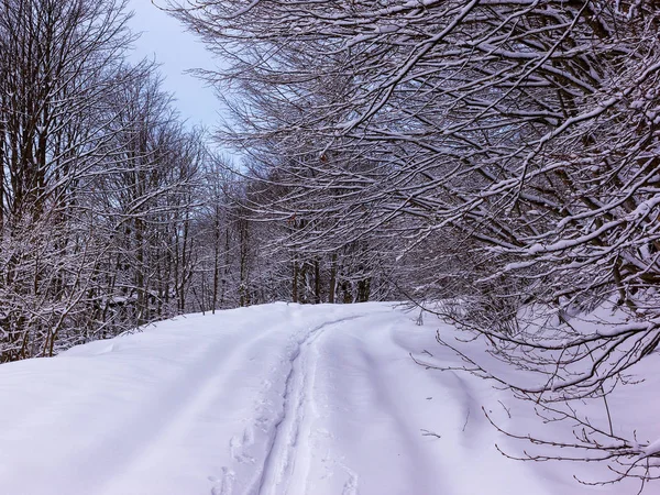 Kış manzarası ve yol araba parçaları ile