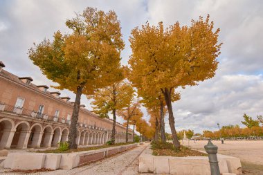 Sonbaharda sarı yaprakları ve Aranjuez bulutlu gökyüzü ile Ağaçlar