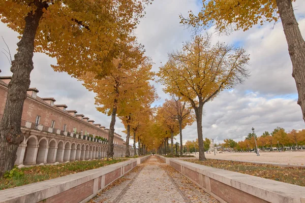 Alberi con foglie gialle in autunno e cielo nuvoloso ad Aranjuez — Foto Stock