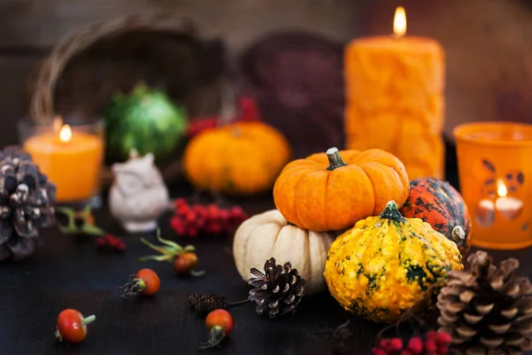 Autumnal Colorful Pumpkins Candle Fallen Leaves Background Hallloween Thanksgiving Concep — Stock Photo, Image