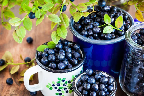 Emaye Kupalar Içinde Taze Olgun Bluberries Bilberries — Stok fotoğraf