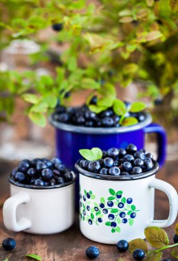 Emaye kupalar içinde taze olgun bluberries (bilberries) 