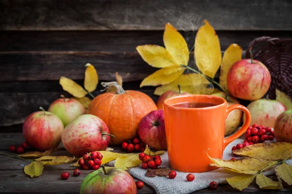 橙杯上秋天背景 秋天树叶 南瓜和罗文浆果 — 图库照片