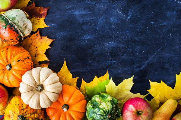 Sonbahar renkli kabak, elma ve kopya alanı metin için koyu zemin üzerine düşen yapraklar 