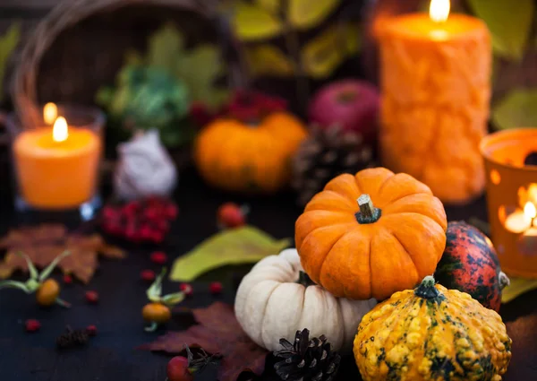 Autumnal Colorful Pumpkins Candle Fallen Leaves Background Hallloween Thanksgiving Concep — Stock Photo, Image