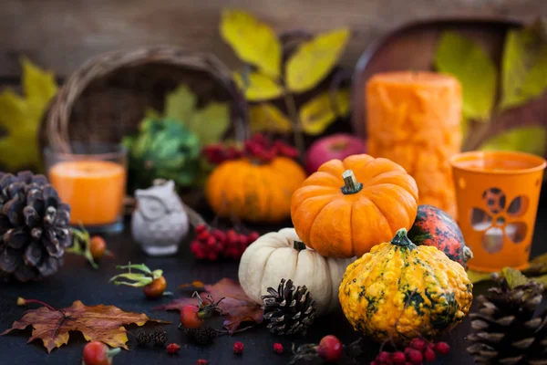 Herbstlich Bunte Kürbisse Auf Kerzen Und Abgefallenen Blättern Hintergrund Hallloween — Stockfoto