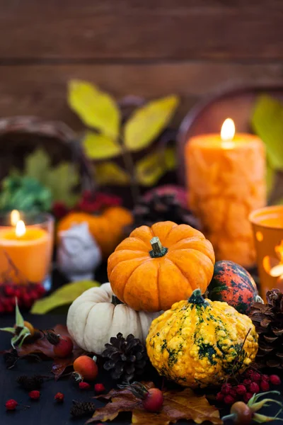 Calabazas Coloridas Otoñales Vela Hojas Caídas Fondo Hallloween Acción Gracias Imagen De Stock