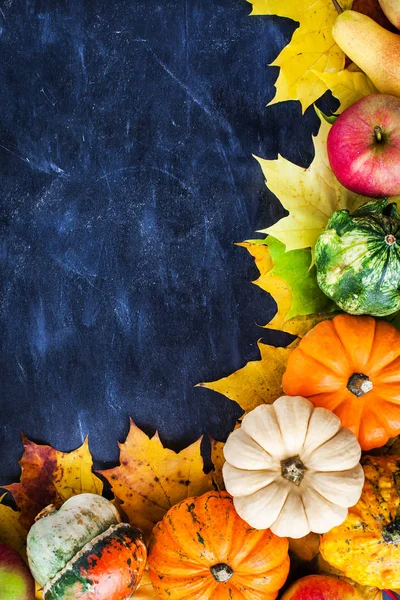 Autumnal colorful pumpkins, apples and fallen leaves  on dark background with copy space for text