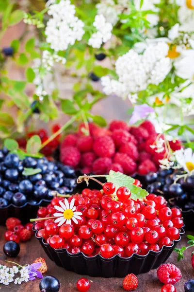 Fresh Ripe Summer Berries Red Currant Foreground Black Currant Blueberry — Stock Photo, Image