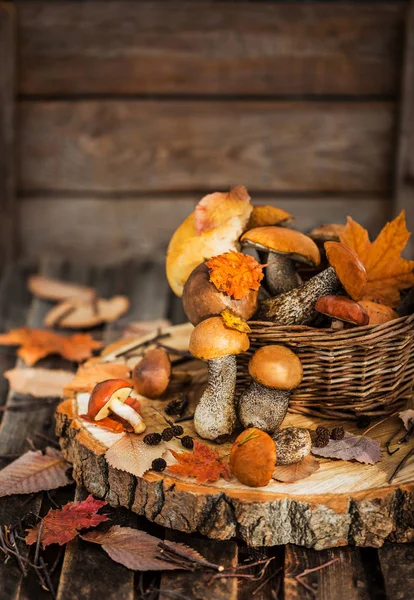 Herbstliche Essbare Waldpilze Steinpilze Korb Auf Rustikalem Holzgrund — Stockfoto