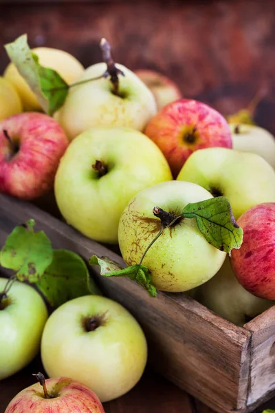 Verse Rijpe Kleurrijke Appels Houten Doos Rustieke Achtergrond — Stockfoto