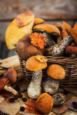 Rustik ahşap zemin üzerine sepeti sonbahar vahşi orman yenilebilir mantar (çörek)