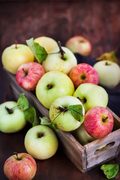 Frische Reife Bunte Äpfel Holzkiste Auf Rustikalem Hintergrund — Stockfoto