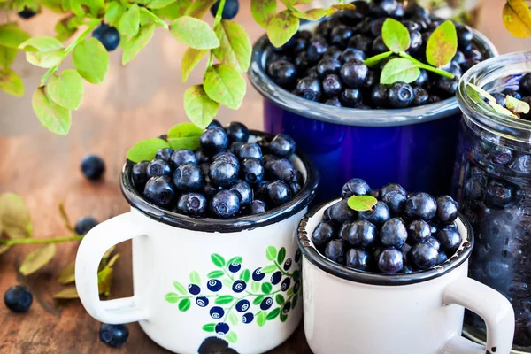 Emaye kupalar içinde taze olgun bluberries (bilberries) — Stok fotoğraf