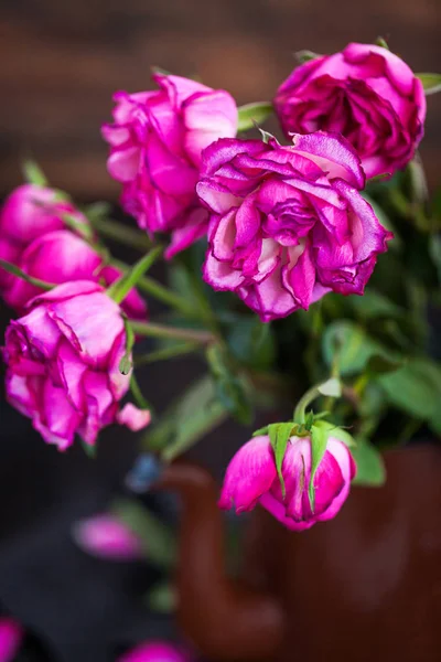 Wyblakłe fioletowe róże kwiaty na drewnianym tle, ścieśniać, sele — Zdjęcie stockowe