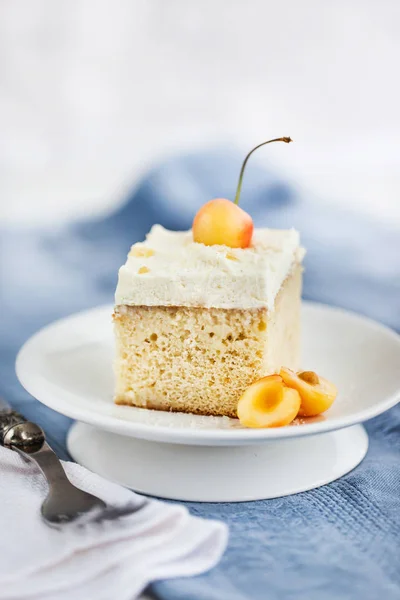 Heerlijke zelfgemaakte vanille en room drie melk Cake (Tres leche — Stockfoto