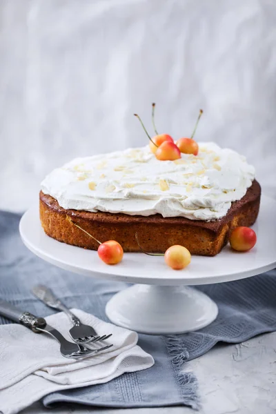 Delicioso corazón en forma de vainilla y crema Tres pasteles de leche — Foto de Stock