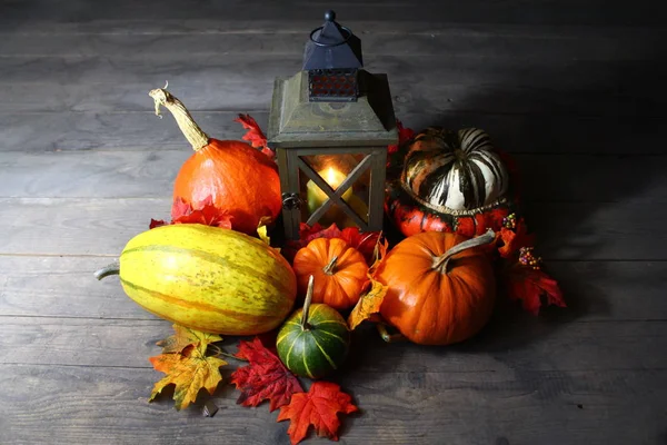 Pumpkins Lantern — Stock Photo, Image