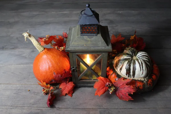 Thanksgiving or Halloween background with dried plants and fallen