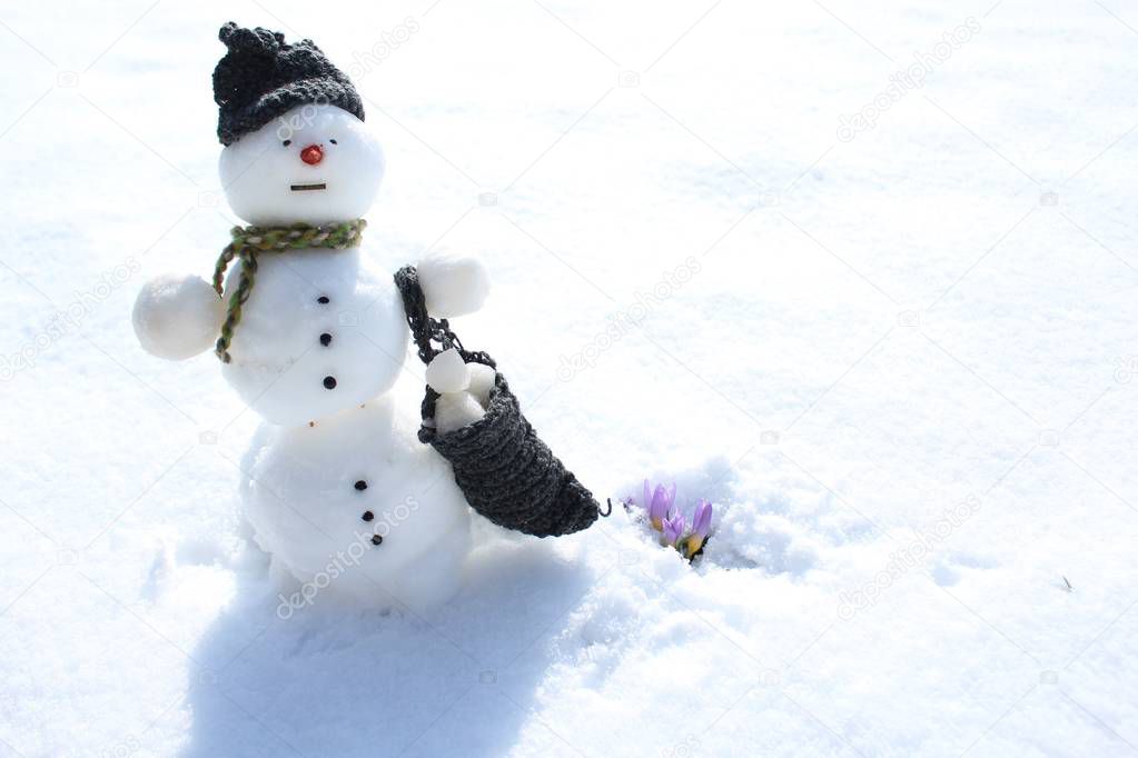 snowman and crocus in the snow