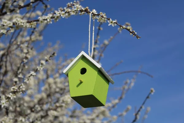 Birdhouse Nel Cespuglio Fiorente — Foto Stock