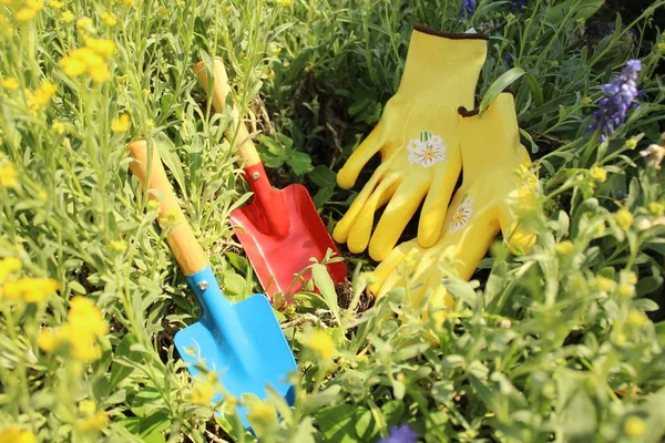 Het Gelukkig Plant Tijd — Stockfoto