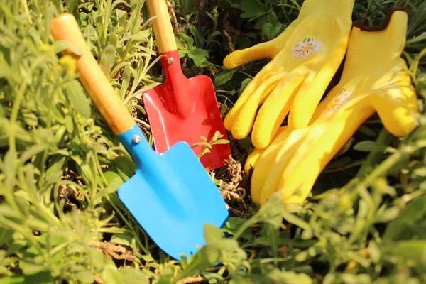 Het Gelukkig Plant Tijd — Stockfoto