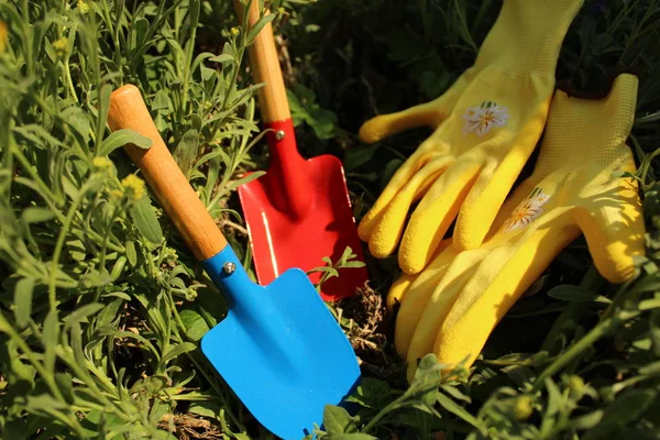 Het Gelukkig Plant Tijd — Stockfoto