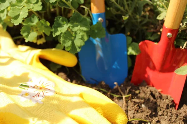 Het Gelukkig Plant Tijd — Stockfoto