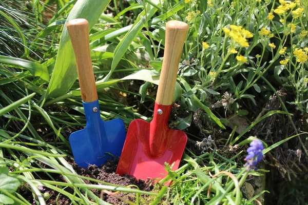 Het Plant Tijd — Stockfoto