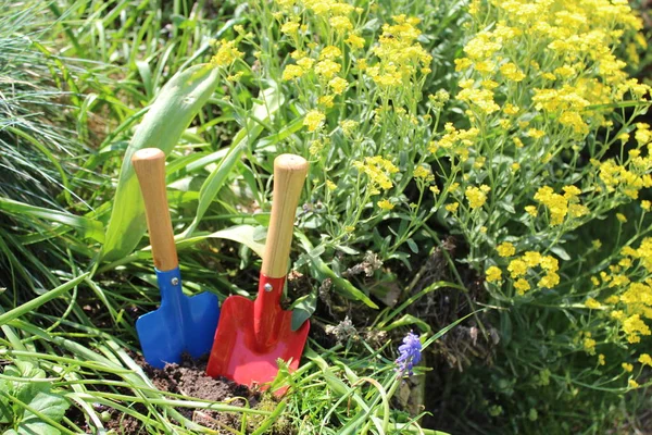 Het Plant Tijd — Stockfoto