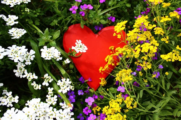 Cuore Rosso Fiori Primaverili — Foto Stock