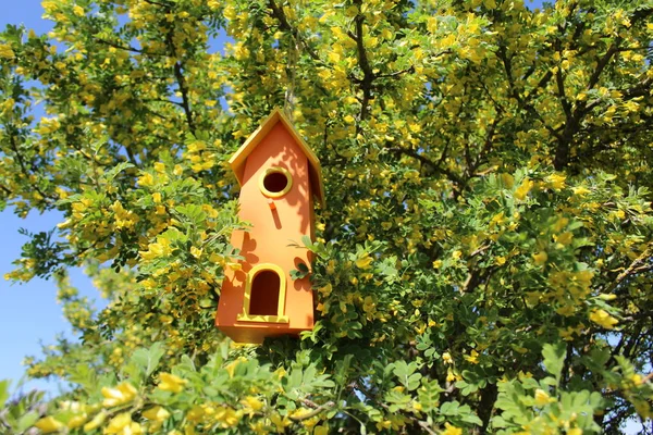 ツリー内の鳥の家 — ストック写真