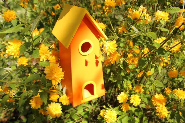 Birdhouse Giardino — Foto Stock