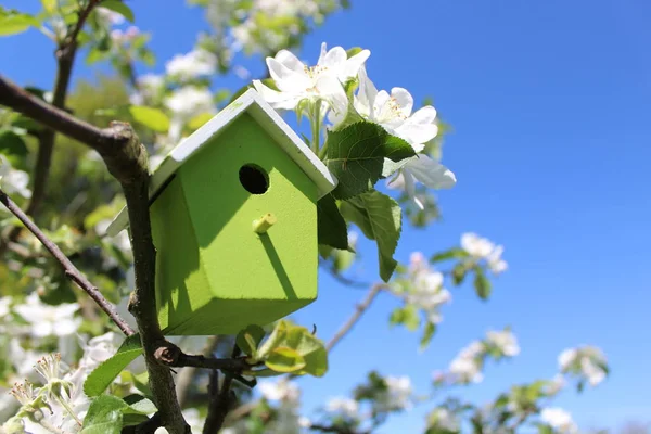 咲くリンゴの木の鳥小屋 — ストック写真