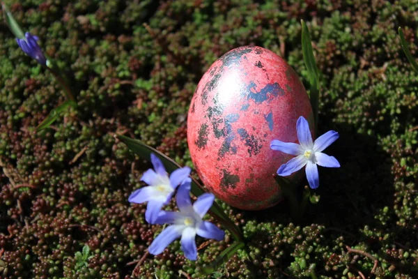 用复活节彩蛋装饰的复活节彩蛋和雪的荣耀 — 图库照片