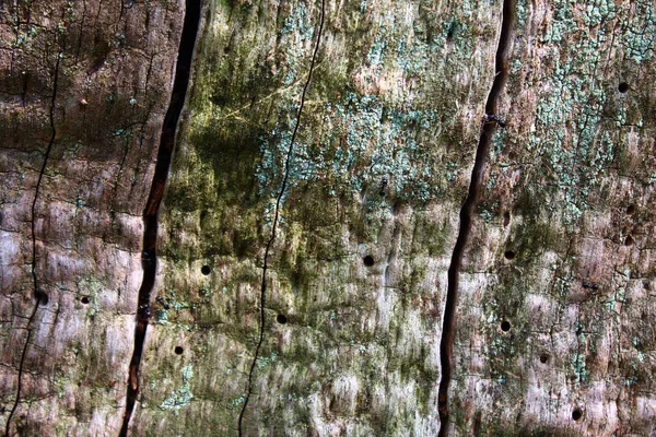 Деревянный Фон Структурой — стоковое фото