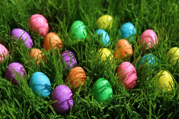 eastergrass çok renkli eastereggs