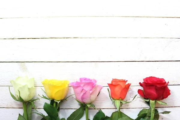 형형색색의 장미와 — 스톡 사진