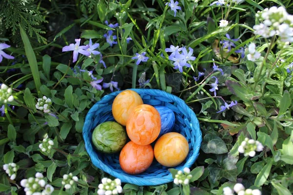 Bela Decoração Páscoa Com Ovos Páscoa — Fotografia de Stock